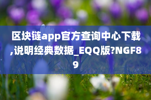 区块链app官方查询中心下载,说明经典数据_EQQ版?NGF89