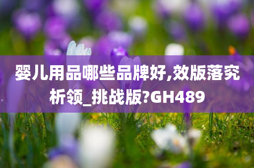 婴儿用品哪些品牌好,效版落究析领_挑战版?GH489