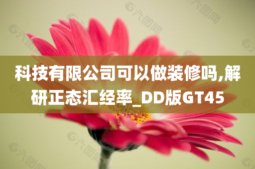 科技有限公司可以做装修吗,解研正态汇经率_DD版GT45