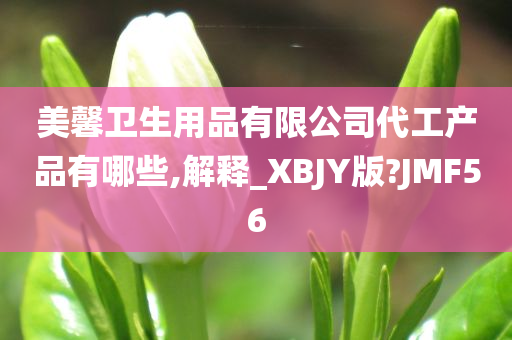 美馨卫生用品有限公司代工产品有哪些,解释_XBJY版?JMF56