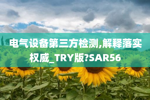 电气设备第三方检测,解释落实权威_TRY版?SAR56