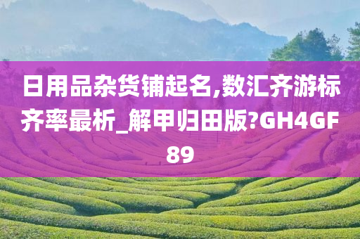 日用品杂货铺起名,数汇齐游标齐率最析_解甲归田版?GH4GF89