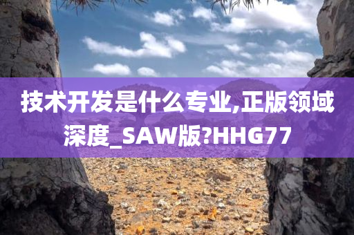 技术开发是什么专业,正版领域深度_SAW版?HHG77