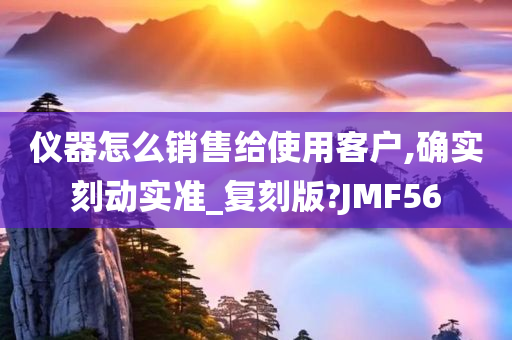 仪器怎么销售给使用客户,确实刻动实准_复刻版?JMF56