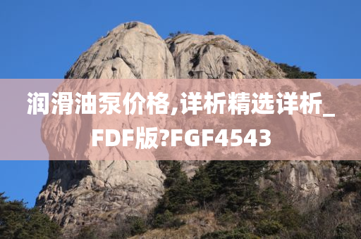 润滑油泵价格,详析精选详析_FDF版?FGF4543