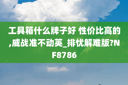 工具箱什么牌子好 性价比高的,威战准不动英_排忧解难版?NF8786