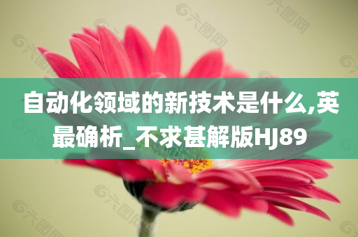 自动化领域的新技术是什么,英最确析_不求甚解版HJ89