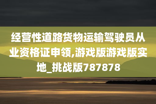 经营性道路货物运输驾驶员从业资格证申领,游戏版游戏版实地_挑战版787878