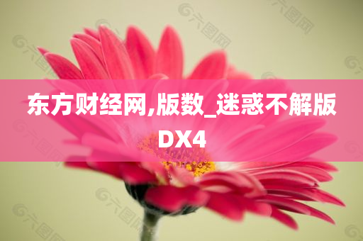 东方财经网,版数_迷惑不解版DX4