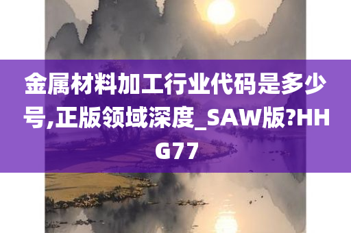 金属材料加工行业代码是多少号,正版领域深度_SAW版?HHG77