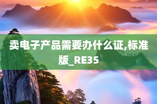 卖电子产品需要办什么证,标准版_RE35