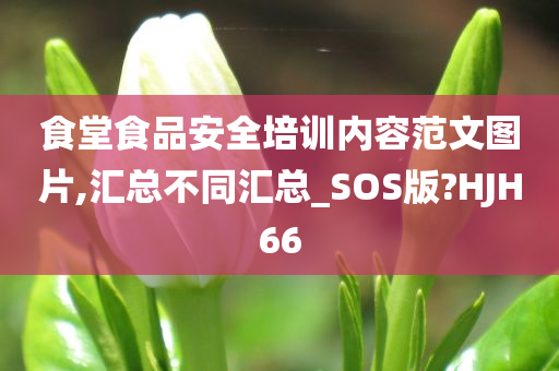 食堂食品安全培训内容范文图片,汇总不同汇总_SOS版?HJH66