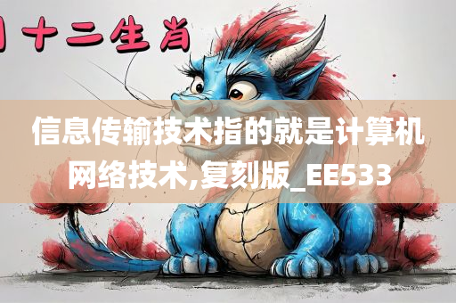 信息传输技术指的就是计算机网络技术,复刻版_EE533