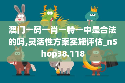 澳门一码一肖一特一中是合法的吗,灵活性方案实施评估_nShop38.118