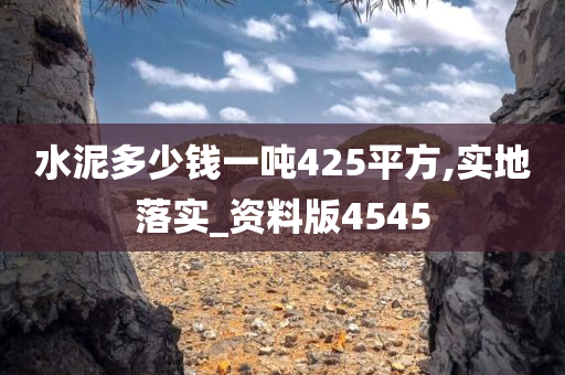 水泥多少钱一吨425平方,实地落实_资料版4545