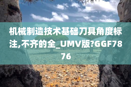 机械制造技术基础刀具角度标注,不齐的全_UMV版?GGF7876