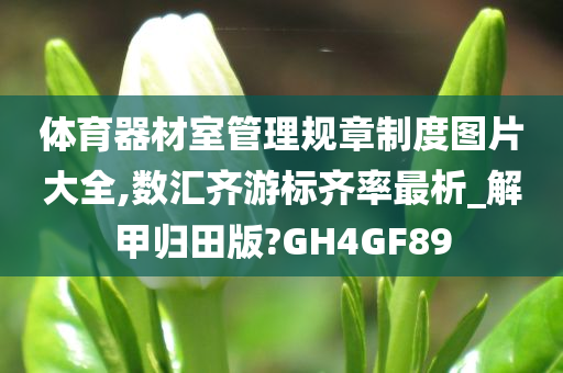 体育器材室管理规章制度图片大全,数汇齐游标齐率最析_解甲归田版?GH4GF89