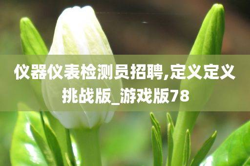 仪器仪表检测员招聘,定义定义挑战版_游戏版78