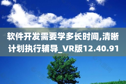 软件开发需要学多长时间,清晰计划执行辅导_VR版12.40.91