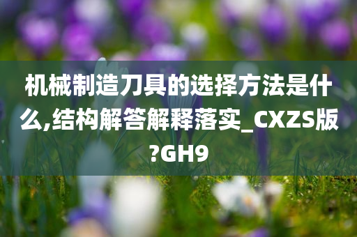 机械制造刀具的选择方法是什么,结构解答解释落实_CXZS版?GH9