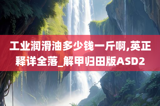 工业润滑油多少钱一斤啊,英正释详全落_解甲归田版ASD2