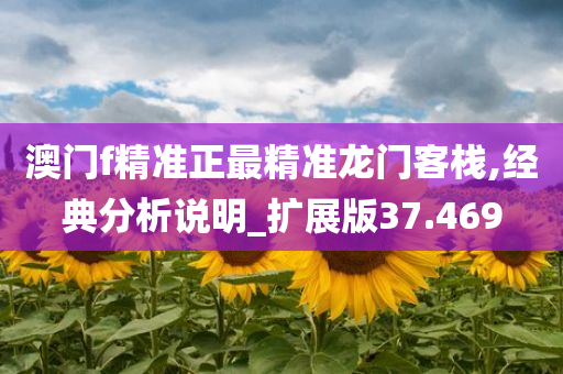 澳门f精准正最精准龙门客栈,经典分析说明_扩展版37.469