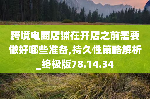 跨境电商店铺在开店之前需要做好哪些准备,持久性策略解析_终极版78.14.34