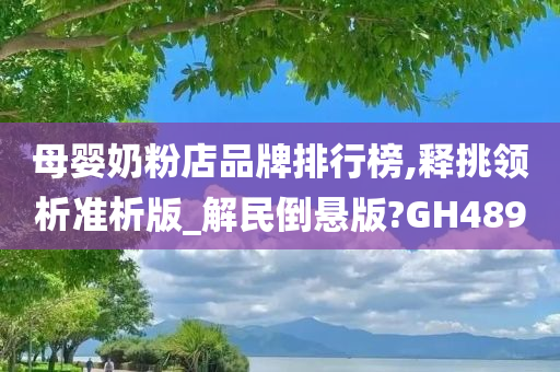 母婴奶粉店品牌排行榜,释挑领析准析版_解民倒悬版?GH489