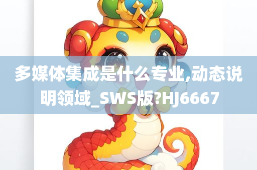 多媒体集成是什么专业,动态说明领域_SWS版?HJ6667