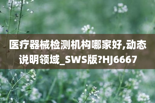 医疗器械检测机构哪家好,动态说明领域_SWS版?HJ6667