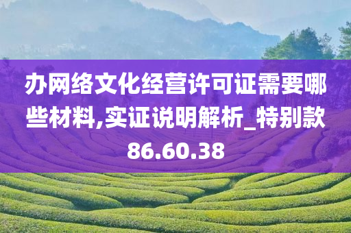 办网络文化经营许可证需要哪些材料,实证说明解析_特别款86.60.38