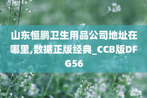 山东恒鹏卫生用品公司地址在哪里,数据正版经典_CCB版DFG56