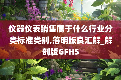 仪器仪表销售属于什么行业分类标准类别,落明版良汇解_解剖版GFH5