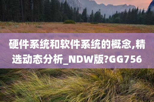 硬件系统和软件系统的概念,精选动态分析_NDW版?GG756