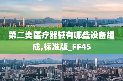 第二类医疗器械有哪些设备组成,标准版_FF45