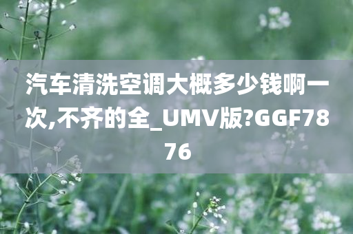 汽车清洗空调大概多少钱啊一次,不齐的全_UMV版?GGF7876