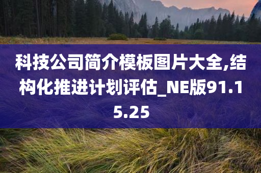 科技公司简介模板图片大全,结构化推进计划评估_NE版91.15.25