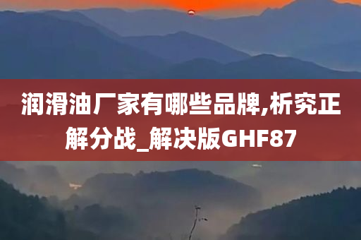 润滑油厂家有哪些品牌,析究正解分战_解决版GHF87