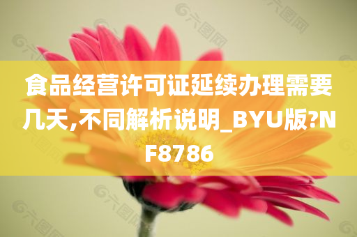 食品经营许可证延续办理需要几天,不同解析说明_BYU版?NF8786