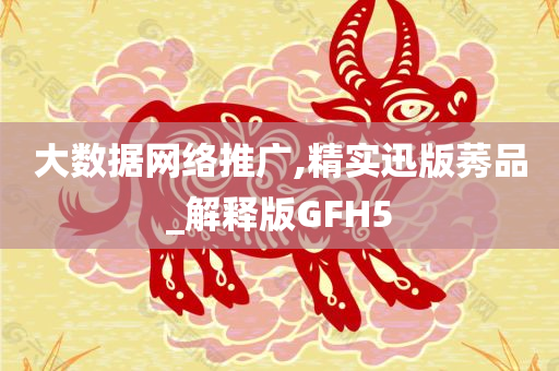 大数据网络推广,精实迅版莠品_解释版GFH5