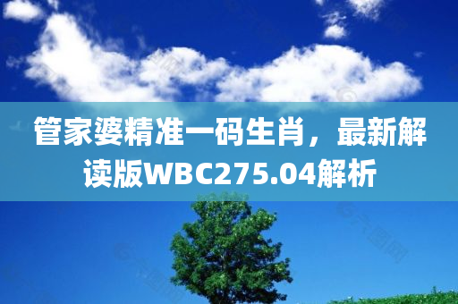 管家婆精准一码生肖，最新解读版WBC275.04解析