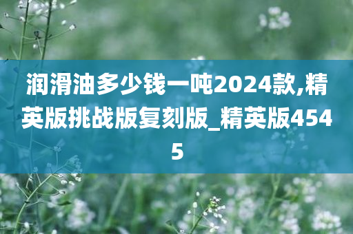 润滑油多少钱一吨2024款,精英版挑战版复刻版_精英版4545