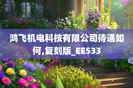 鸿飞机电科技有限公司待遇如何,复刻版_EE533