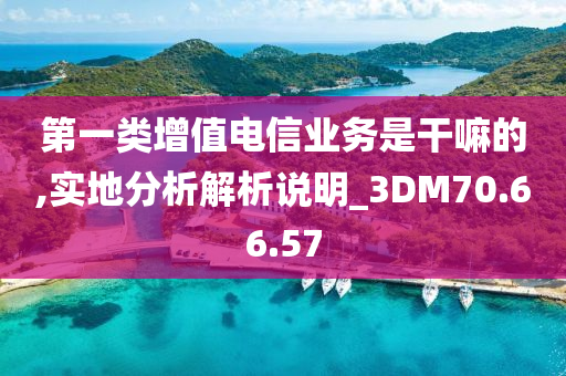 第一类增值电信业务是干嘛的,实地分析解析说明_3DM70.66.57