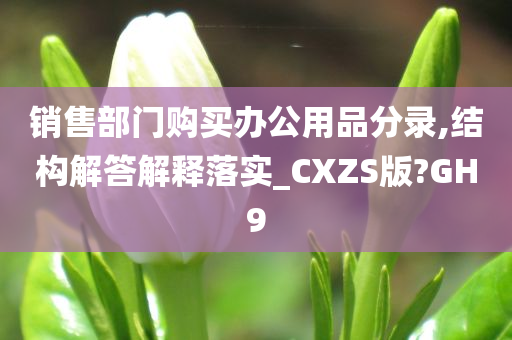 销售部门购买办公用品分录,结构解答解释落实_CXZS版?GH9