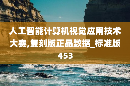 人工智能计算机视觉应用技术大赛,复刻版正品数据_标准版453