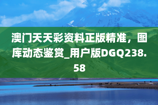 澳门天天彩资料正版精准，图库动态鉴赏_用户版DGQ238.58