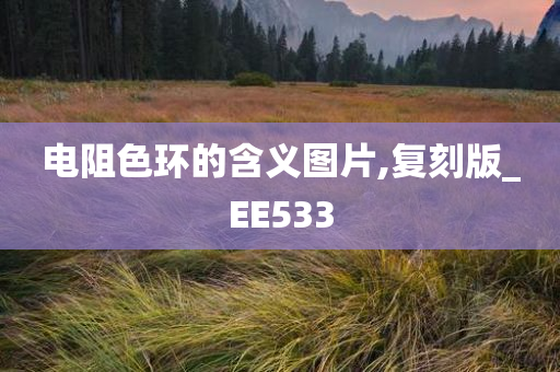 电阻色环的含义图片,复刻版_EE533