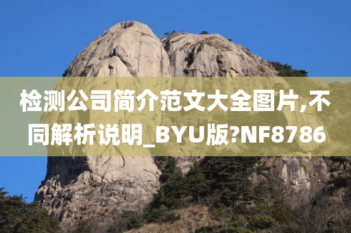 检测公司简介范文大全图片,不同解析说明_BYU版?NF8786