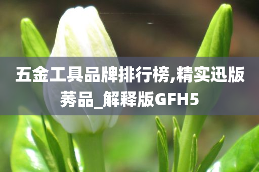 五金工具品牌排行榜,精实迅版莠品_解释版GFH5